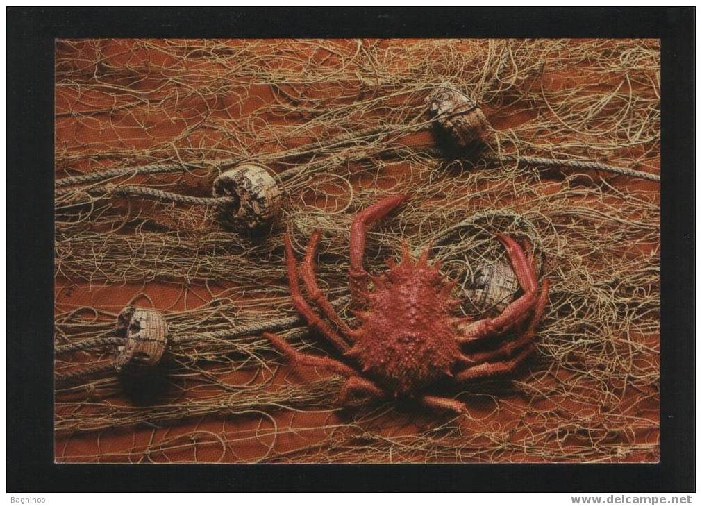 CRAB Postcard - Other & Unclassified