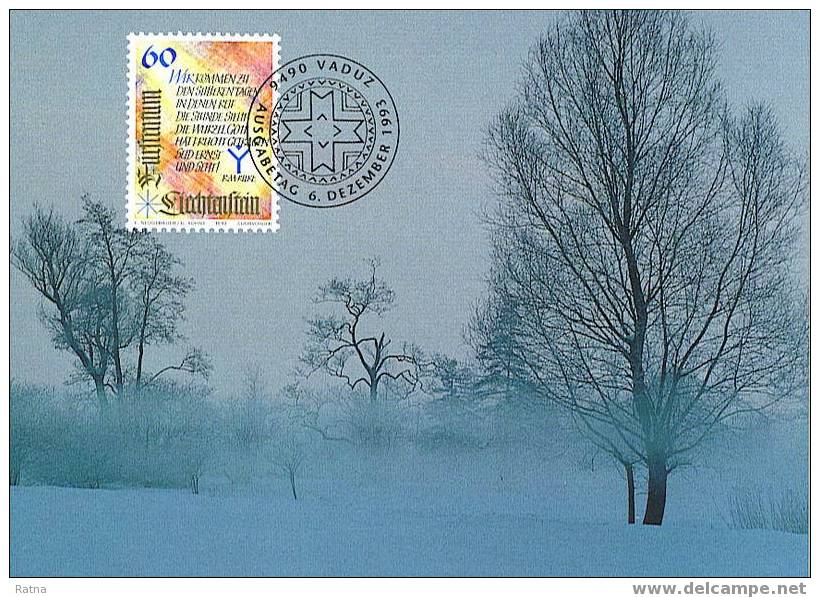 Liechtenstein : CM Carte Maximum Montagne Neige Hiver Arbre Brouillard Meteo Froid - Clima & Meteorologia