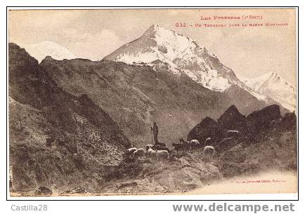 Cpa LES PYRENEES - Un Troupeau Dans La Haute Montagne - Midi-Pyrénées