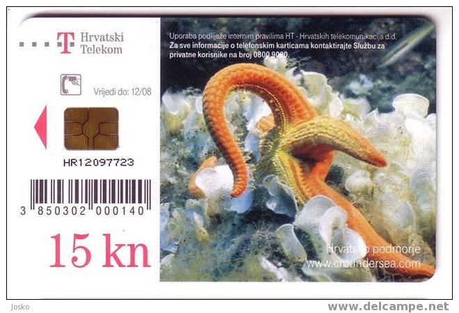 HACELIA ATTENUATA ( Croatie ) ** Starfish – Seestern – Estrella De Mar – Asterie – Etoile De Mer - Stella Di Mare - Croacia