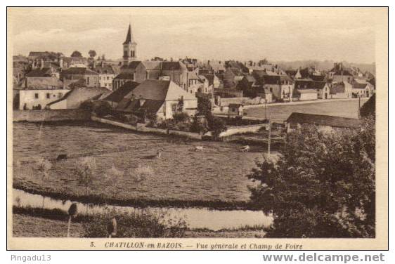 Vue Générale Et Champ De Foire - Chatillon En Bazois