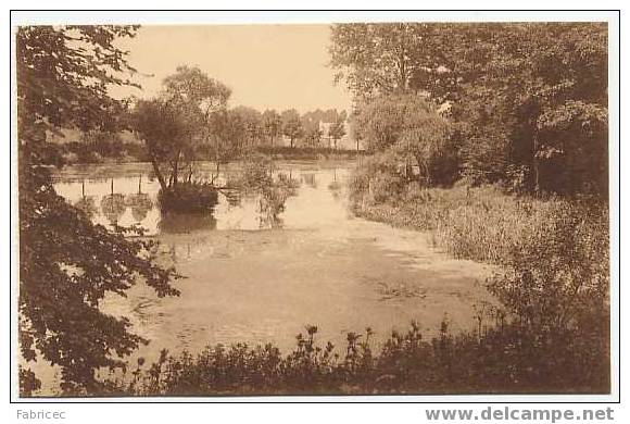 Gaasbeek - Parc - Le Grand étang Dit "L'étang Tortu". - Lennik