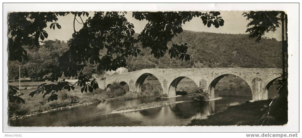 LE VIEUX PONT SAINT JEAN DU GARD    30 - Saint-Jean-du-Gard