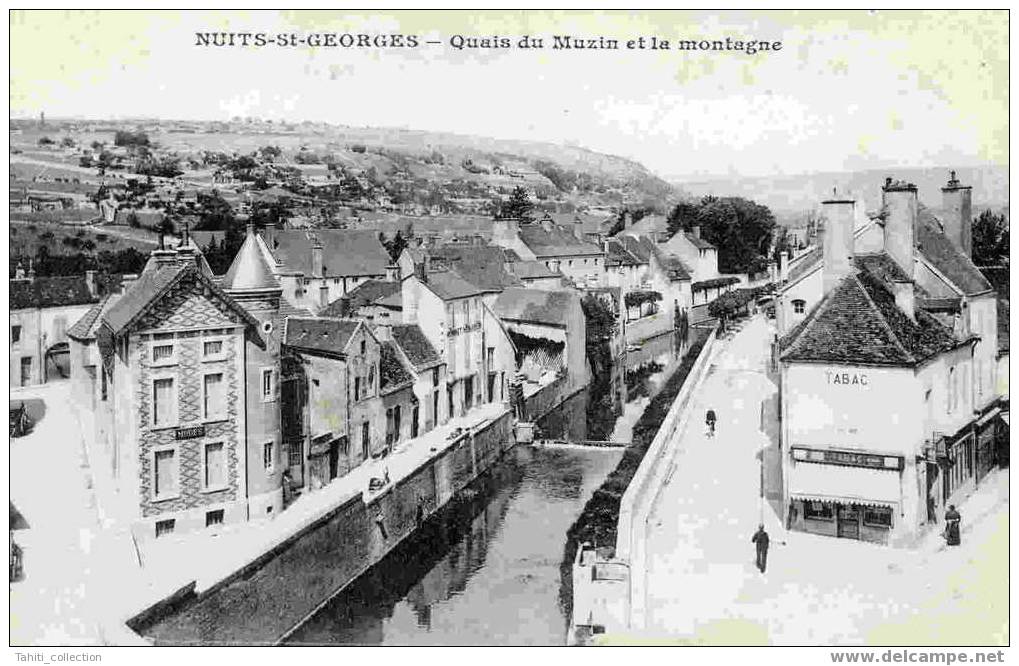 NUITS-SAINT-GEORGES - Quais Du Muzin Et La Montagne - Nuits Saint Georges