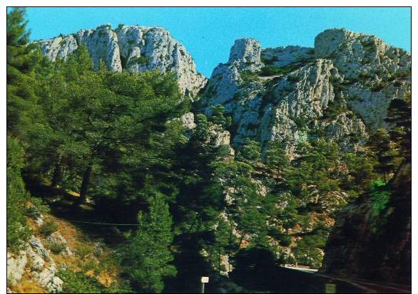 83 LES GROTTES D'OLLIOULES     F22913 - Ollioules