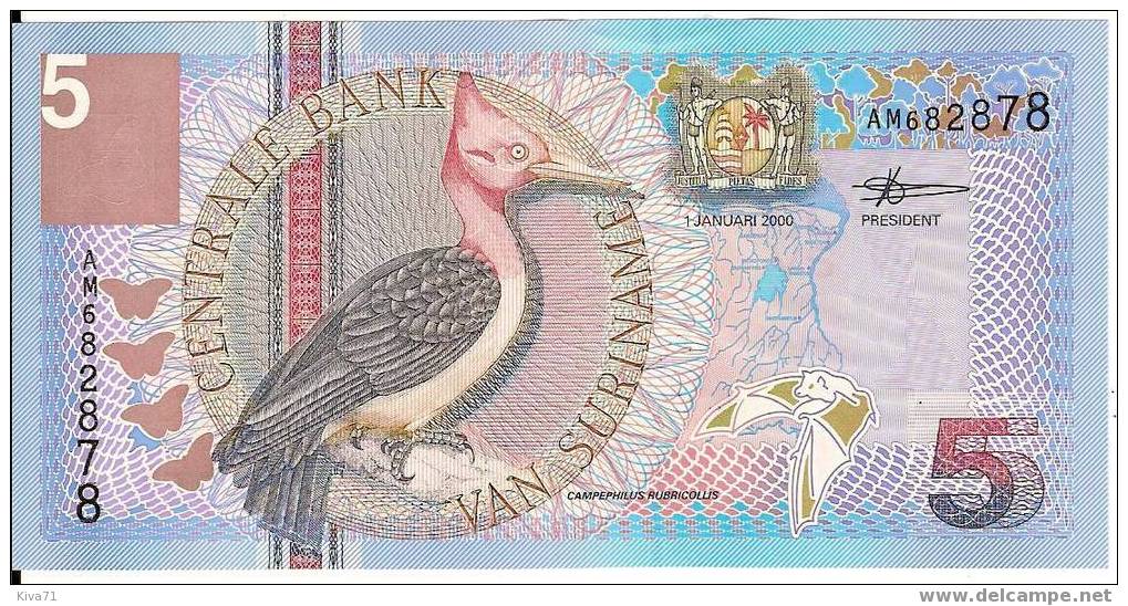 5 GULDEN "SURINAME"  1 Janvier 2000   Ble 75 - Suriname