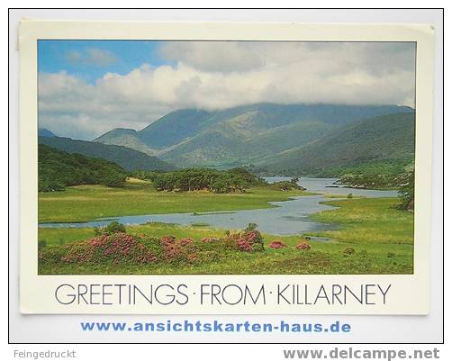 D 4053 - Greetings From Killarney - CAk, 1992 Gelaufen - Kerry