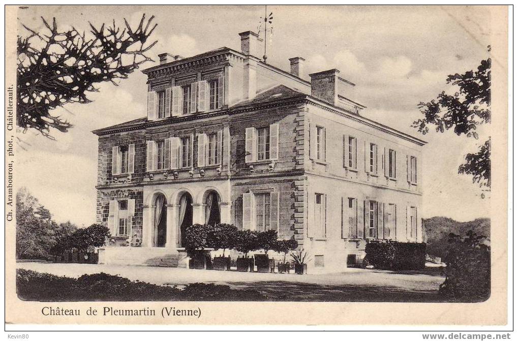 86 Château De PLEUMARTIN - Pleumartin