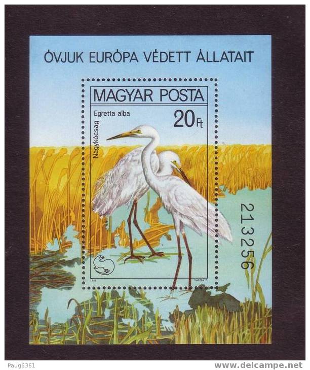 HONGRIE BLOC EGRETTES  SC N°2665  NEUF MNH** VV40 - Storchenvögel