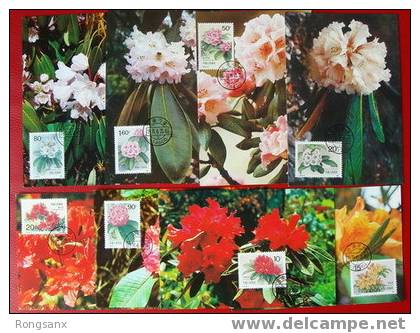 1991 CHINA T162 Rhododendra FLOWER MC 8V - Tarjetas – Máxima