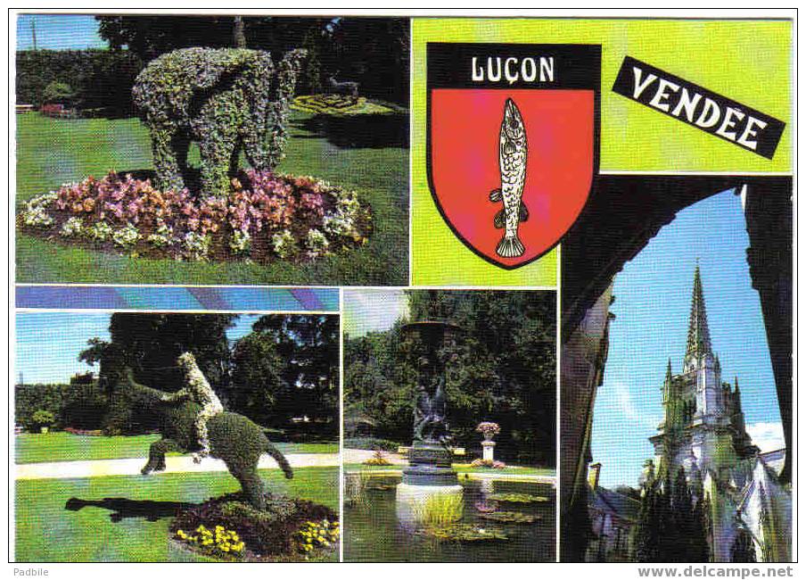 Carte Postale  85 - Luçon - Cathédrale Notre-Dame, Vues Diverses Du Jardin Dumaine - Lucon