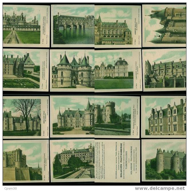 50 Cartes Postales De Chateaux De La Serie PAUTAUBERGE (pharmacie) En Espagnol Série 1 à 5 - Châteaux