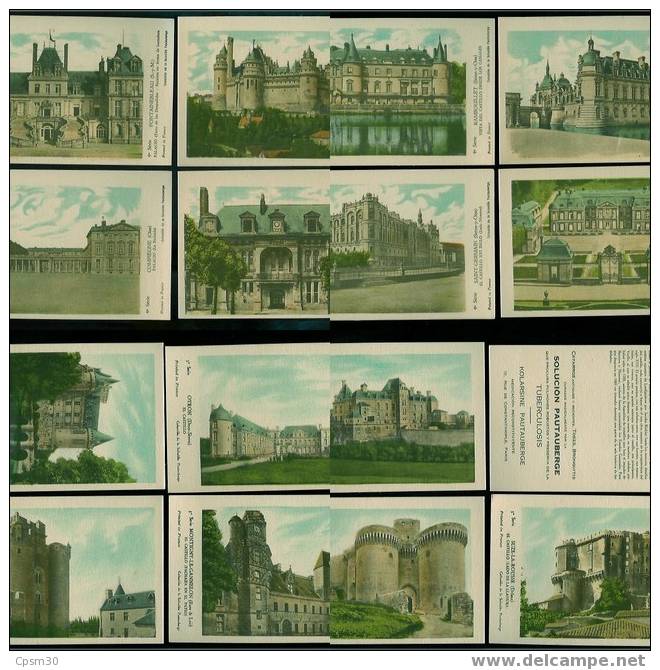 50 Cartes Postales De Chateaux De La Serie PAUTAUBERGE (pharmacie) En Espagnol Série 1 à 5 - Châteaux