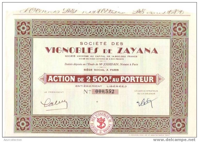 TITRE .VIGNOBLE DE ZAYANA - Agriculture