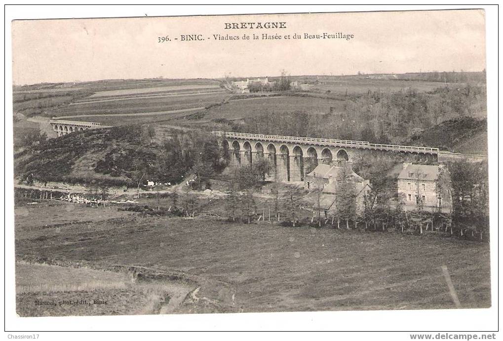 22 - BINIC - Viaducs De La Hasée Et Du Beau-Feuillage - Binic