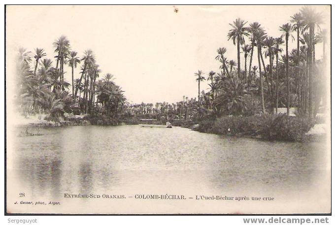 Colomb-Béchar : L´oued Béchar Après Une Crue - (c1281) - Bechar (Colomb Béchar)