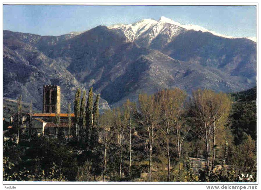 Carte Postale  66.  Prades  Le Roussillon - Prades