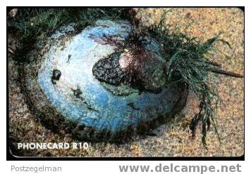 SOUTH AFRICA Limpet Garden Tnba - South Africa