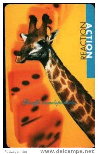 SOUTH AFRICA Used Telephone Card Giraffe Tnbr - Afrique Du Sud