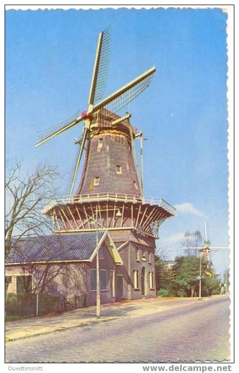 Moulin De Hollande.Belle Cpsm Coul.dentelée. - Moulins à Vent