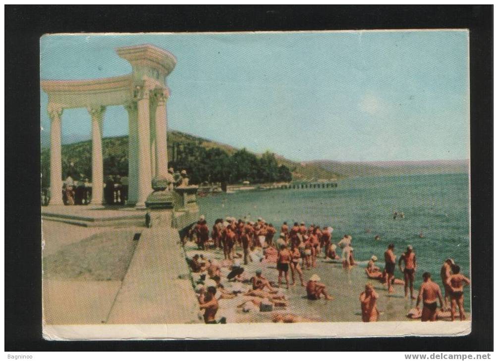 CRIMEA ALUSHTA Postcard UKRAINE - Ukraine