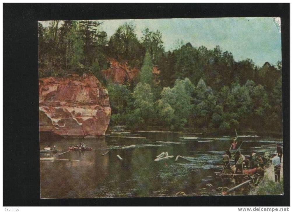 GAUJA RIVER Postcard LATVIA - Latvia