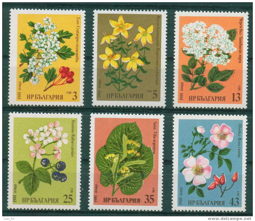 3018 Bulgaria 1981 Flora Medicinal Herbs MNH /Weissdorn Johanniskraut Schwarzer Holunder Brombeere Silberli/Heilpflanzen - Vegetables