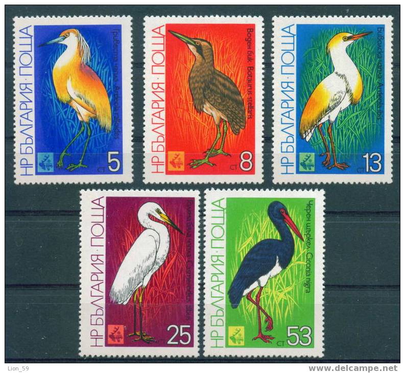 3036 Bulgaria 1981 EXPO Plovdiv MARSH Birds ** MNH / Stork Schwarzstorch (Ciconia Nigra /Internationale Jagdausstellung - Cicogne & Ciconiformi