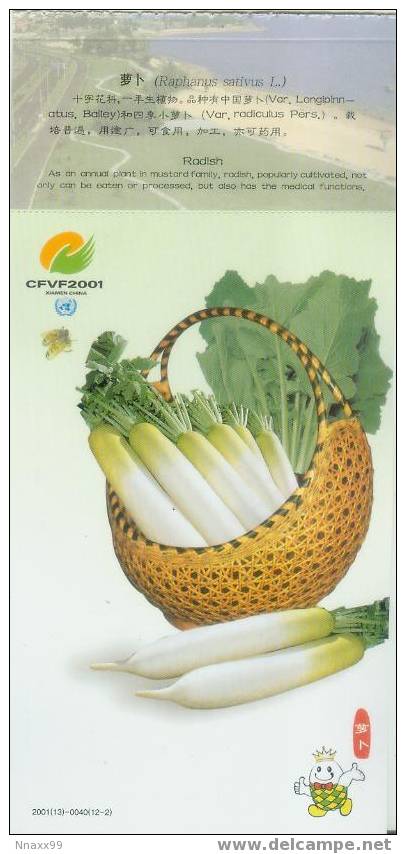 Vegetable - Légume - Radish (Raphanus Sativus L.), China Pre-stamped Postcard - Culturas