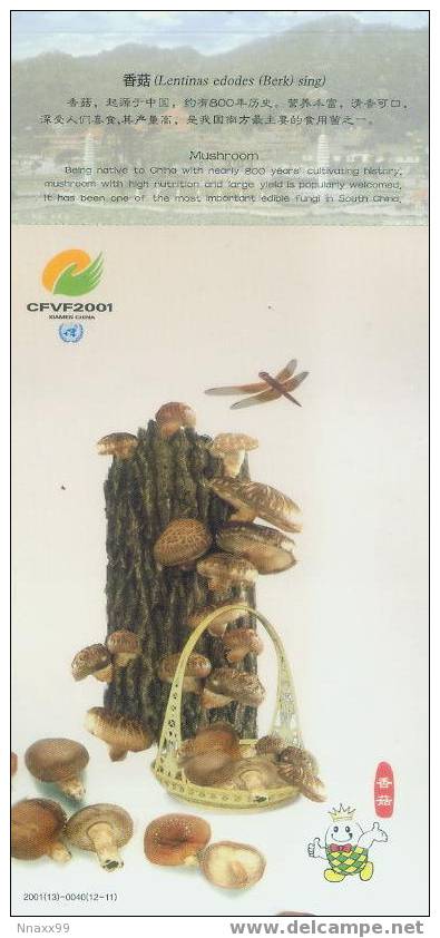 Vegetable - Légume - Xianggu Mushroom (Lentinas Edodes (Berk) Sing), China Pre-stamped Postcard - Culturas