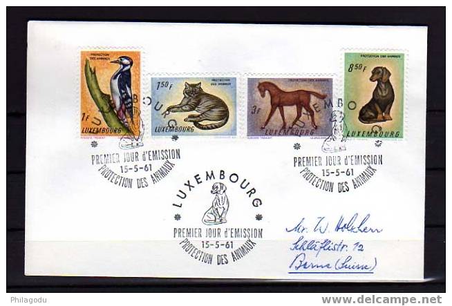 Luxembourg 1961, Protection Des Animaux ; Pic épeiche, Chat, Poulain, Basset, Cachet FDC, - Covers & Documents