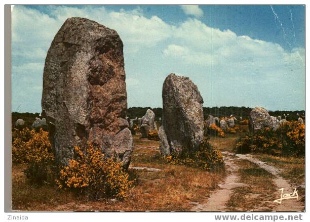 CARTE POSTALE CARNAC - BRETAGNE - Dolmen & Menhirs