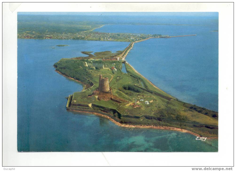 SAINT VAAST LA HOUGUE VUE AERIENNE - Saint Vaast La Hougue