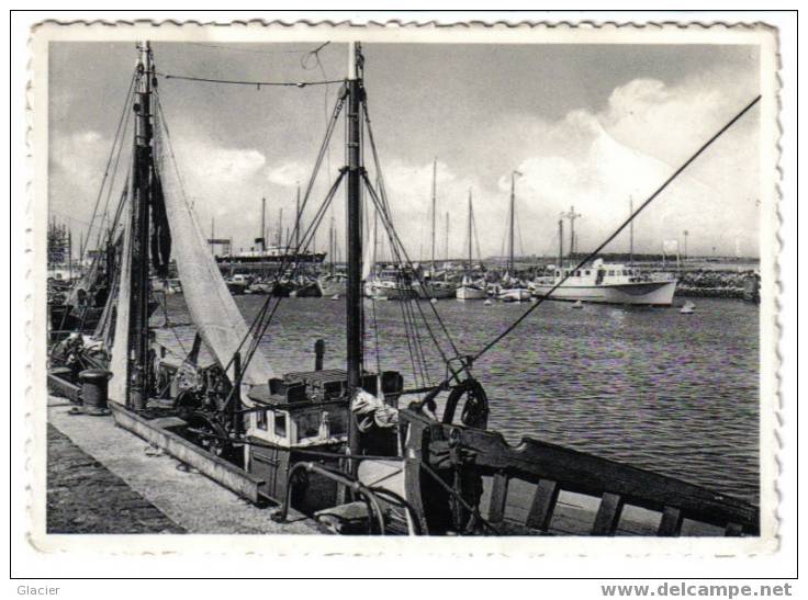 ZEEBRUGGE - Port Des Yachts - Zicht Op De Yachthaven - Vissersboot Aan De Kade - Zeebrugge