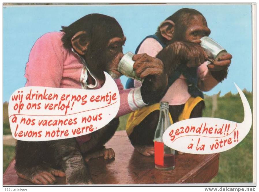 Aap - Apen - Monkey - Wij Drinken Er Nog Eentje Op Ons Verlof - A Nos Vacances Nous Levons Notre Verre - à La Vôtre - Apen
