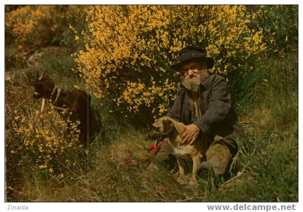 CARTE POSTALE D UN VIEUX BERGER ET SON FIDELE COMPAGNON - Hunde