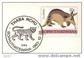 Jolie FDC Tp Obl CAD 01-10-1983 Histoire Incorporation Thaba Nchu & Bophuthatswana Armoiries Drapeau Blason Félin - Bophuthatswana