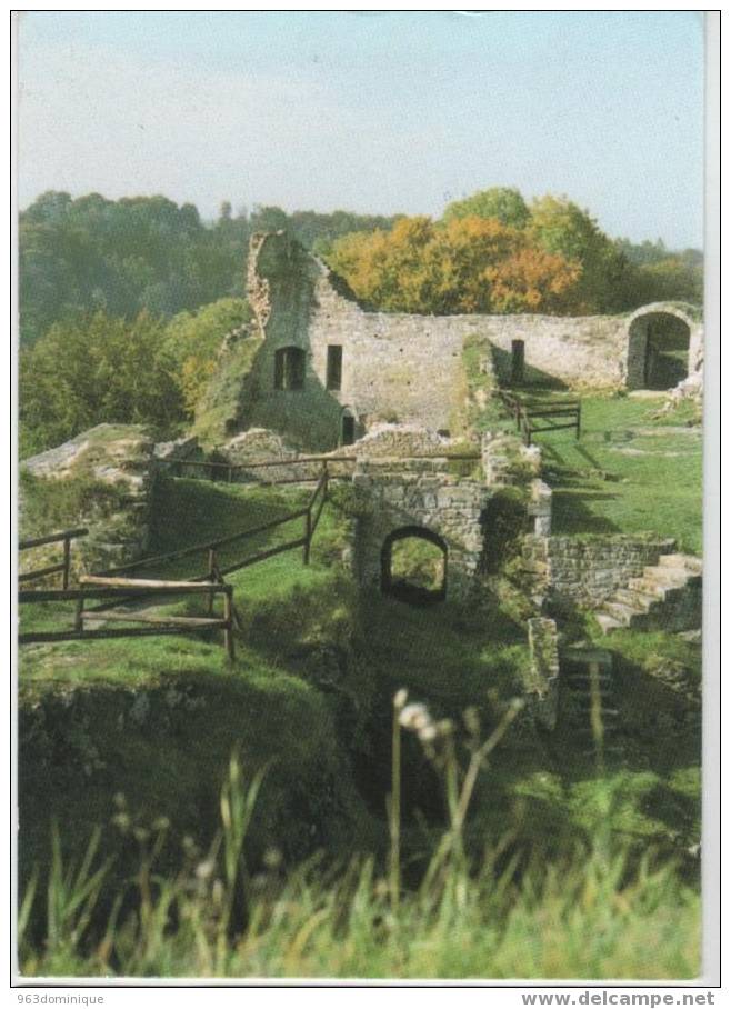 Chateau Fort De Logne - Vieuxville - Ferrières - Repaire Des Sangliers Des Ardennes - Cour Haute Et Logis Seigneurial - Ferrieres