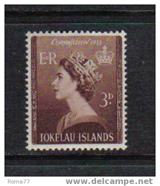 366 - TOKELAU , 1953 : Incoronazione Di Elisabetta  *** - Tokelau
