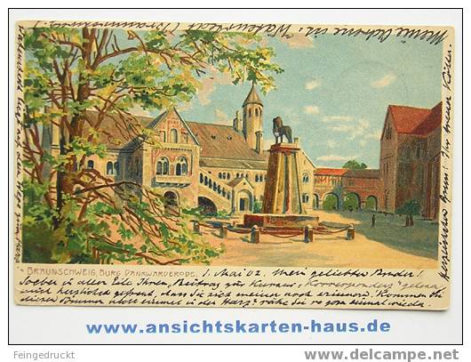 D 4134 - Braunschweig. Burg Dankwarderode - CAk, 1902 Gelaufen - Braunschweig