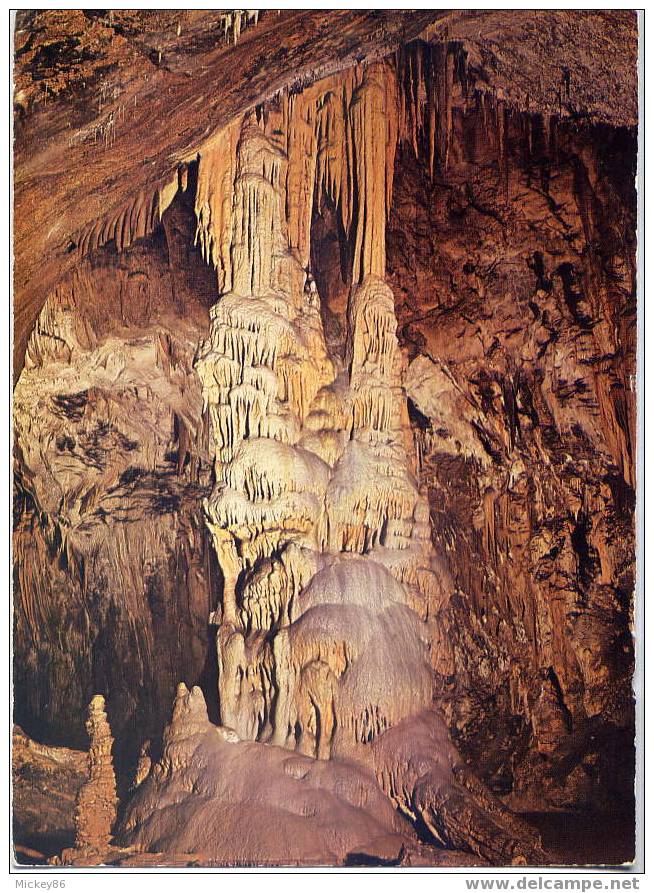 Slovénie--Ex-Yougoslavie--POSTOJNA--Postojnska Jama,Grotte-Caves-----Les Belles Galeries ,cpm Photo Birelli - Jugoslavia