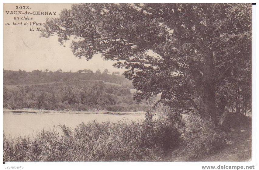 VAUX.DE.CERNAY . UN CHENE AU BORD DE L ETANG N° 2073 - Vaux De Cernay