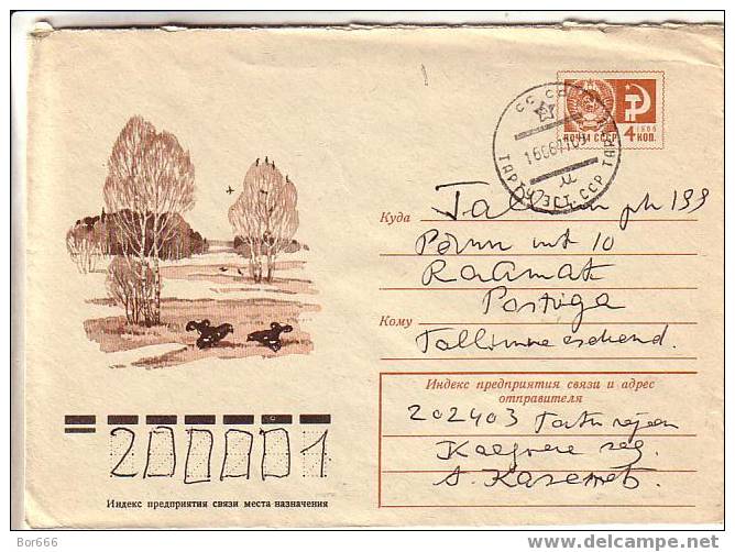 GOOD USSR POSTAL COVER 1984 - Pheasants (used) - Gallináceos & Faisanes