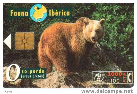 SPAIN 2000 PTAS  BROWN BEAR  ANIMAL ANIMALS   FAUNA  IBERICA  SPECIAL PRICE !!! - Emisiones Básicas