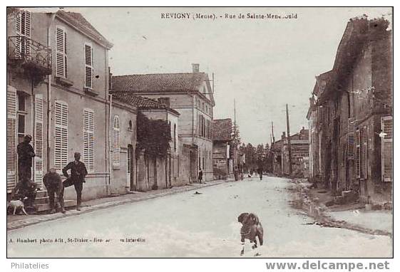 REVIGNY   RUE DE STE MENEOULD - Revigny Sur Ornain
