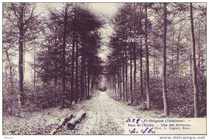 OTTIGNIES = Parc De L'Etoile  (Lagaert) - Ottignies-Louvain-la-Neuve