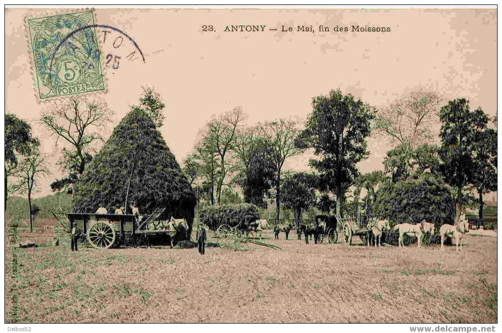 ANTONY - Le Mai, Fin Des Moissons - Antony