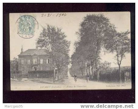 12427 Livarot Avenue De Vimoutiers édit.ND N°12 Belle Carte - Livarot