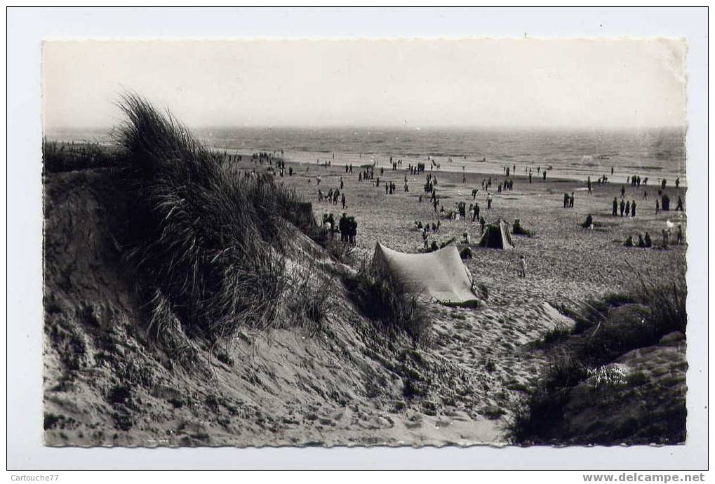 K2 - QUEND-PLAGE-les-PINS - Les Dunes Et La Plage (1964 - Oblitération Hexagone Tireté De Quend) - Quend