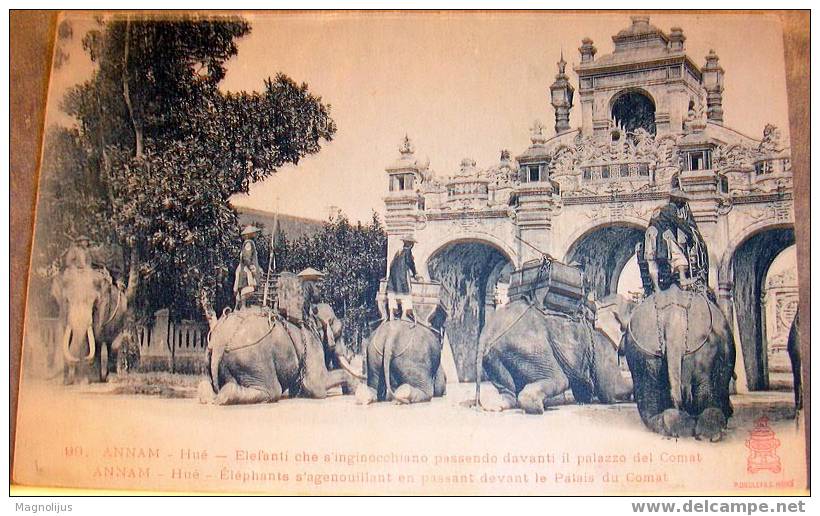 Elephants,vintage Postcard,Annam,Indo-Chine,Tonkin,Comat - Elefanti